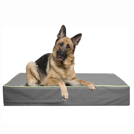 memory foam mattress dog bed
