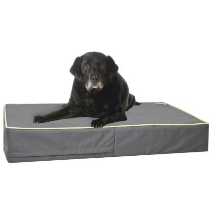 pet mattress